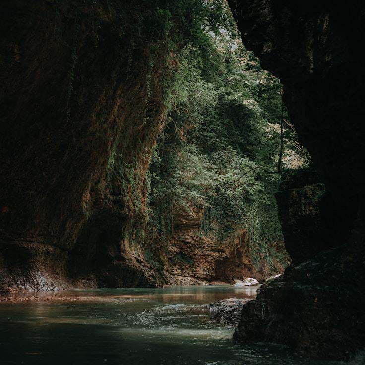 Alpine wilderness landscape
